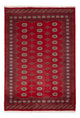 Pákistánský koberec 235x165cm - Orientální koberec
