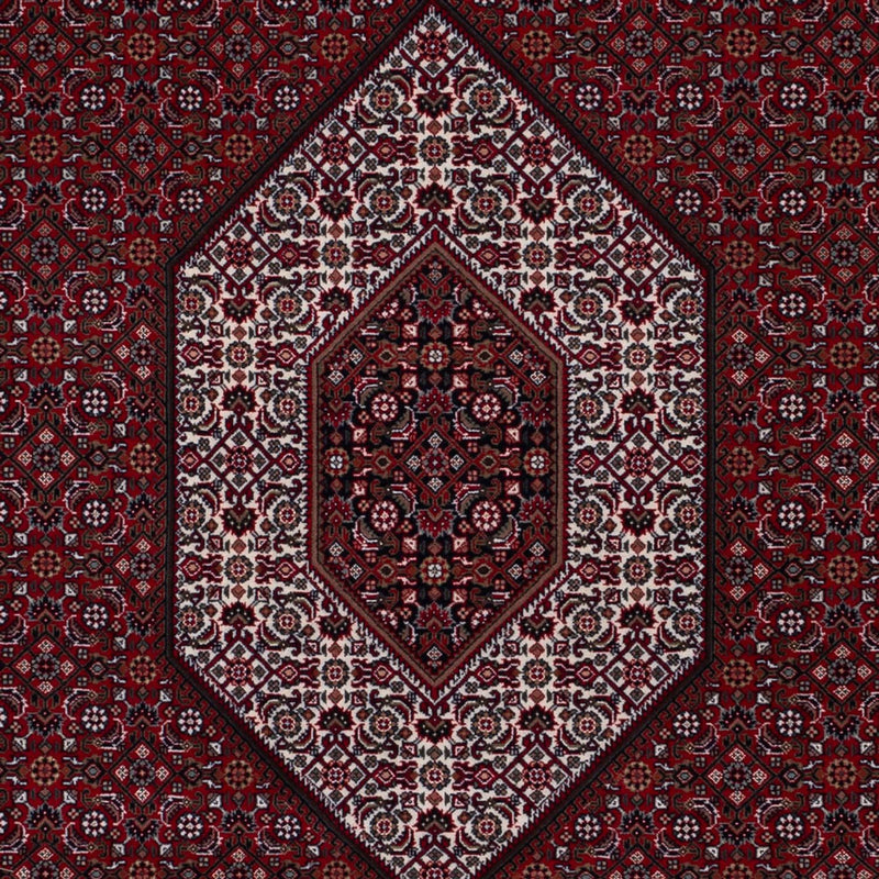 Indo Bidjar Koberec 298x200cm - Orientální koberec