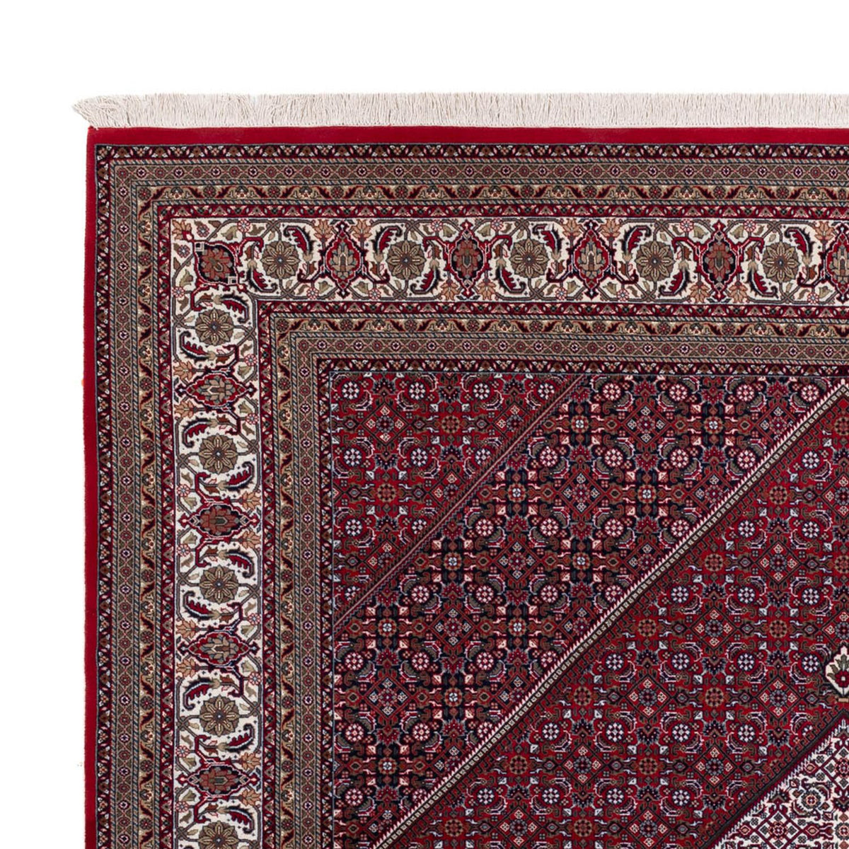 Indo Bidjar Koberec 251x305cm - Orientální koberec