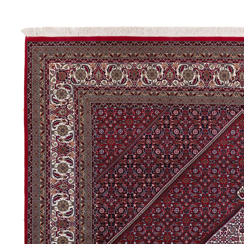 Indo Bidjar Koberec 251x305cm - Orientální koberec