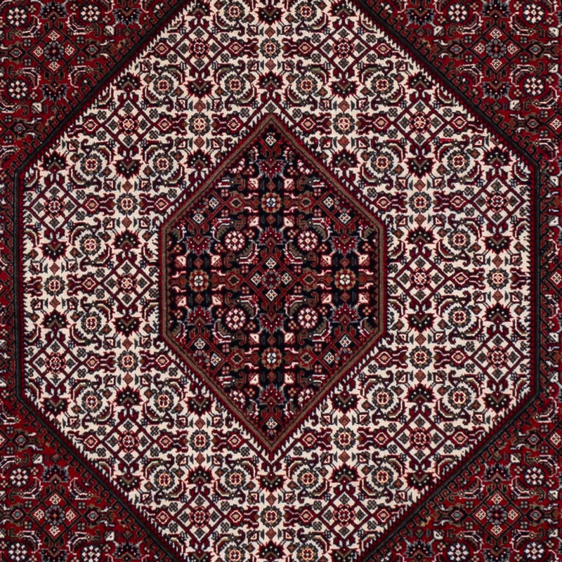 Indo Bidjar Koberec 251x304cm - Orientální koberec