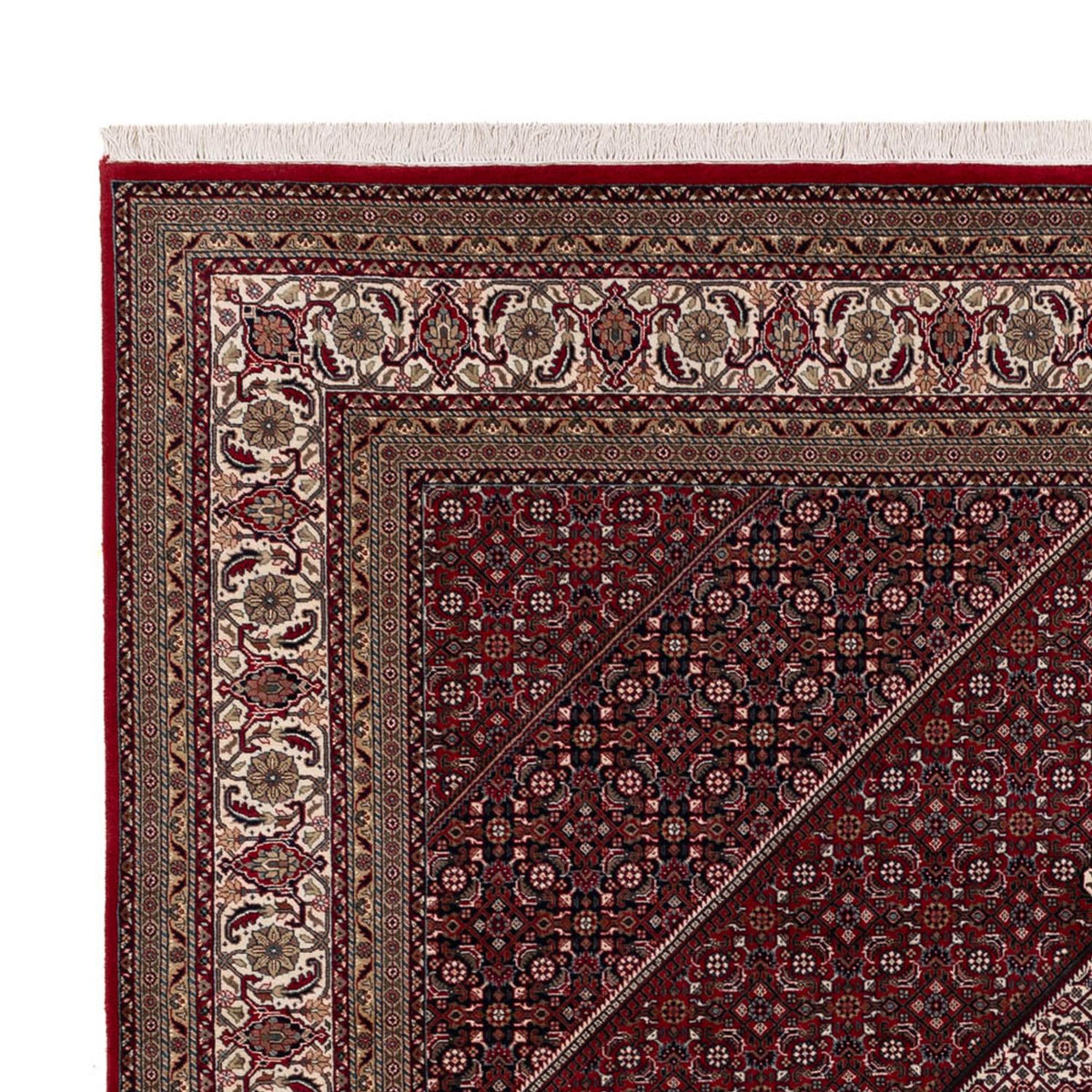 Indo Bidjar Koberec 251x304cm - Orientální koberec