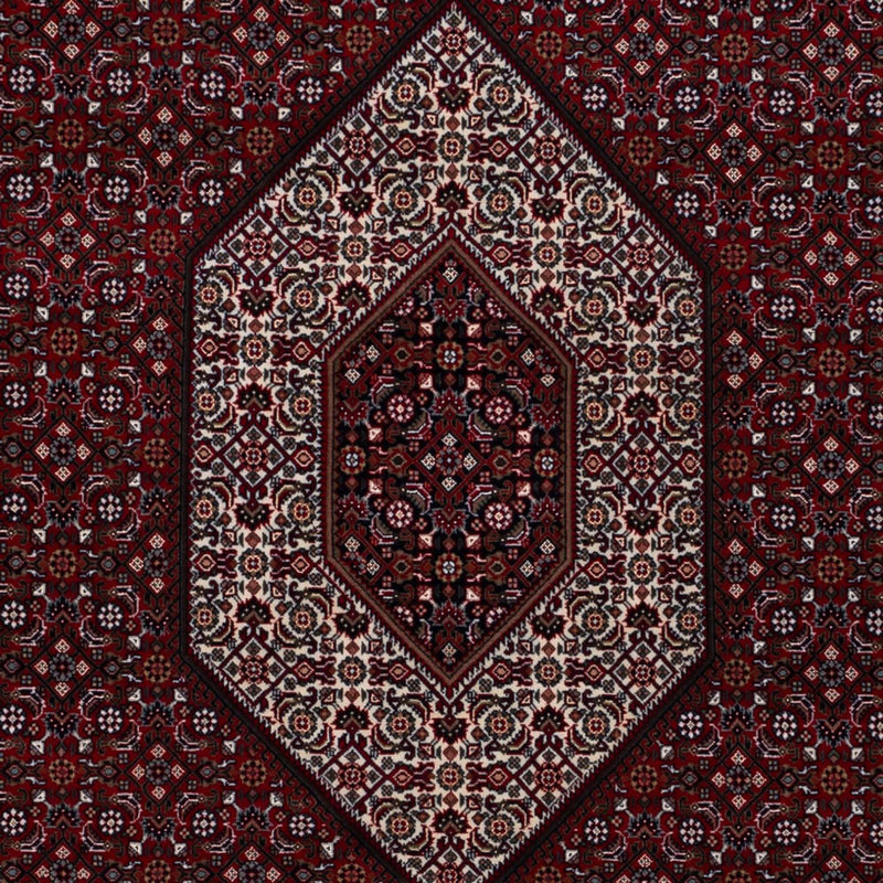 Indo Bidjar Koberec 305x198cm - Orientální koberec