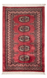 Pákistánský koberec 80x120cm - Orientální koberec – product image