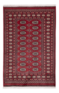 Pákistánský koberec 122x184cm - Orientální koberec – product image