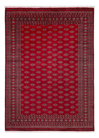 Bukhara Koberec 253x350cm - Orientální koberec – product image