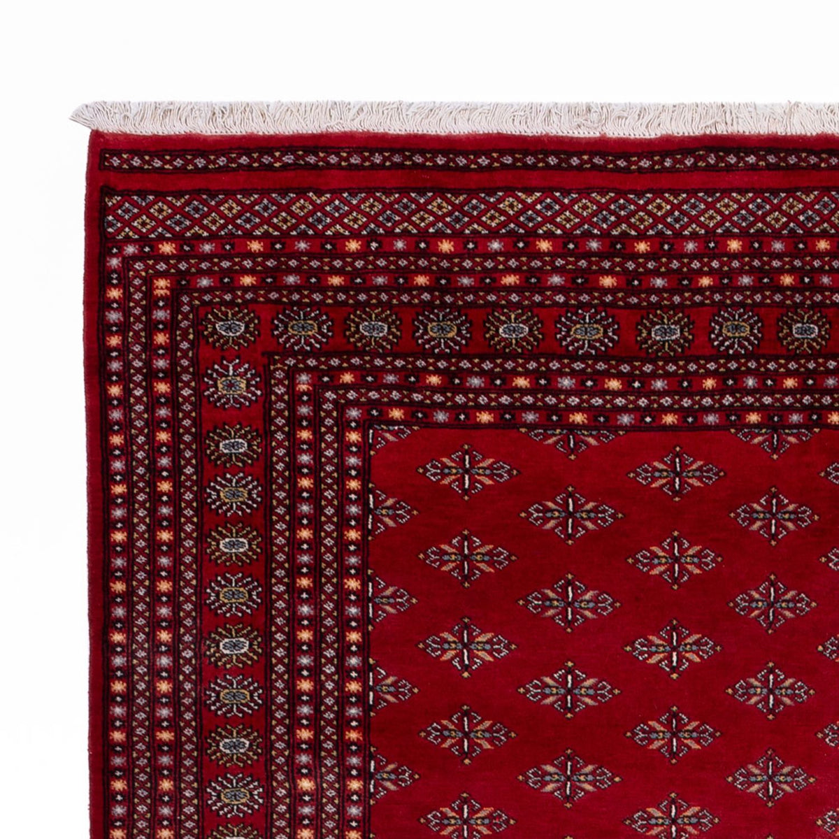 Bukhara Koberec 253x350cm - Orientální koberec