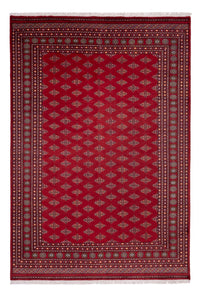 Bukhara Koberec 249x365cm - Orientální koberec – product image