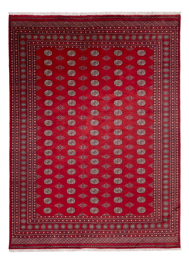 Bukhara Koberec 277x380cm - Orientální koberec