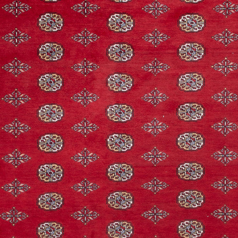 Bukhara Koberec 277x380cm - Orientální koberec