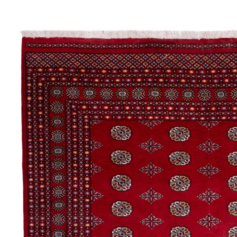Bukhara Koberec 277x380cm - Orientální koberec