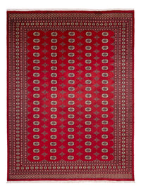 Bukhara Koberec 275x369cm - Orientální koberec – product image