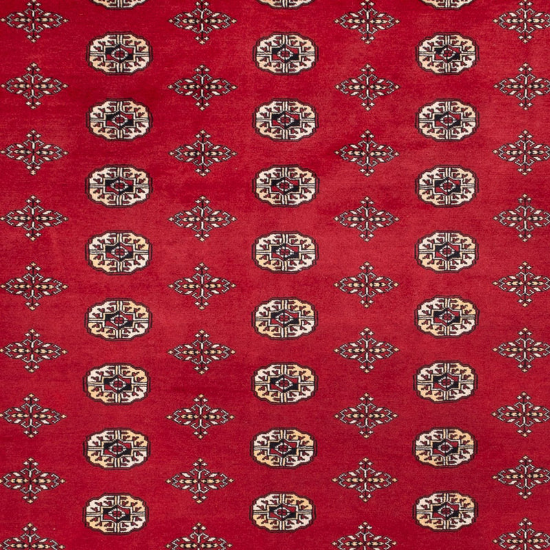 Bukhara Koberec 275x369cm - Orientální koberec