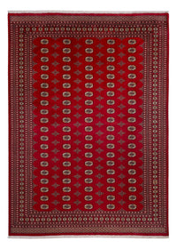 Bukhara Koberec 276x387cm - Orientální koberec – product image