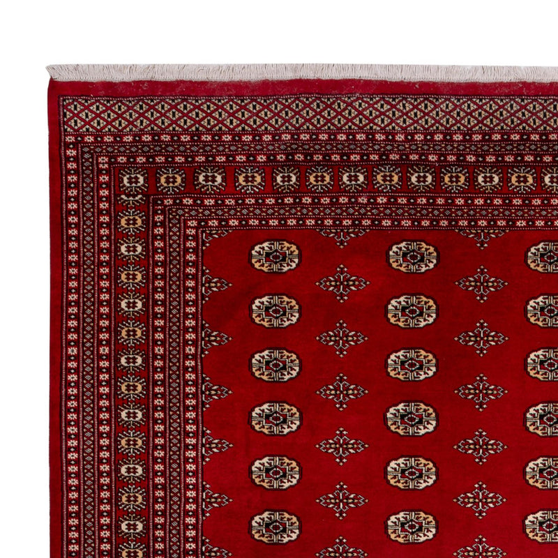 Bukhara Koberec 276x387cm - Orientální koberec