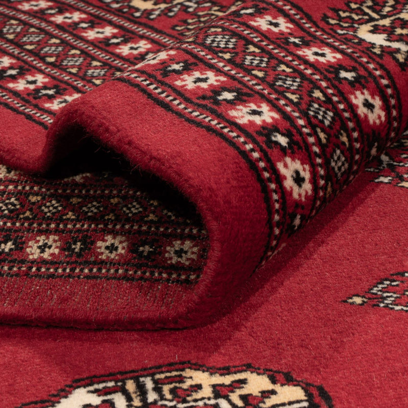 Bukhara Koberec 276x387cm - Orientální koberec