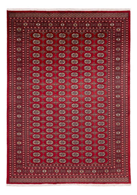 Bukhara Koberec 241x346cm - Orientální koberec – product image