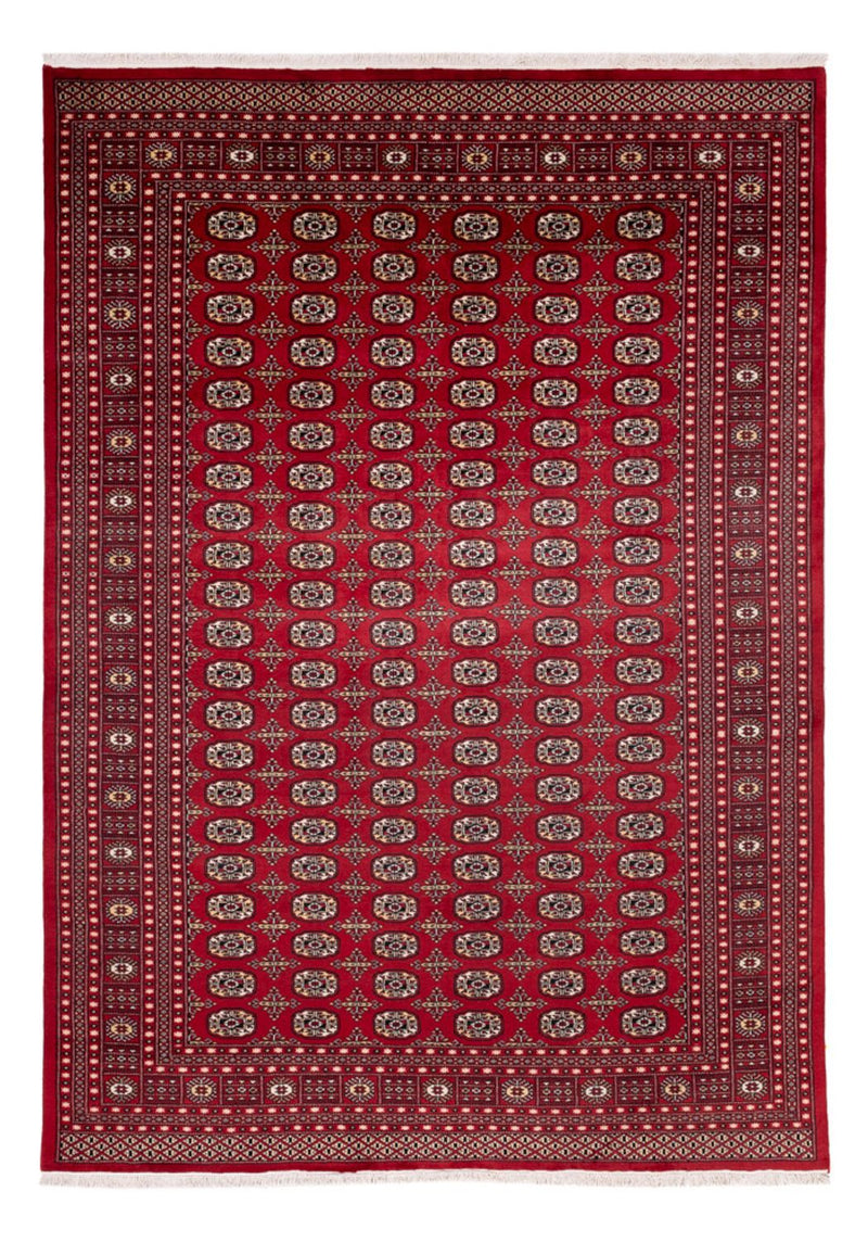 Bukhara Koberec 241x346cm - Orientální koberec