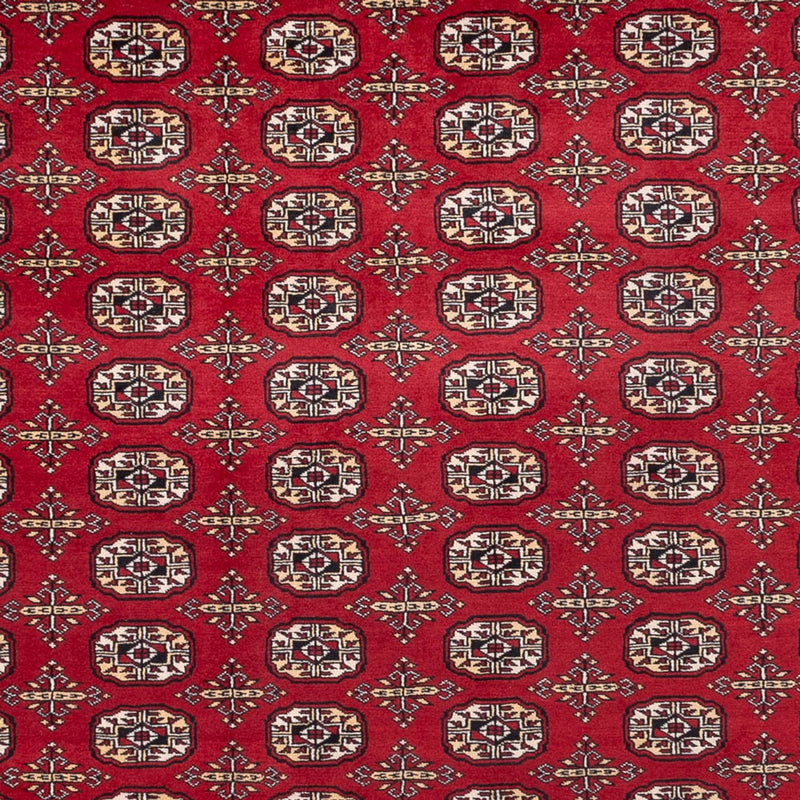 Bukhara Koberec 241x346cm - Orientální koberec
