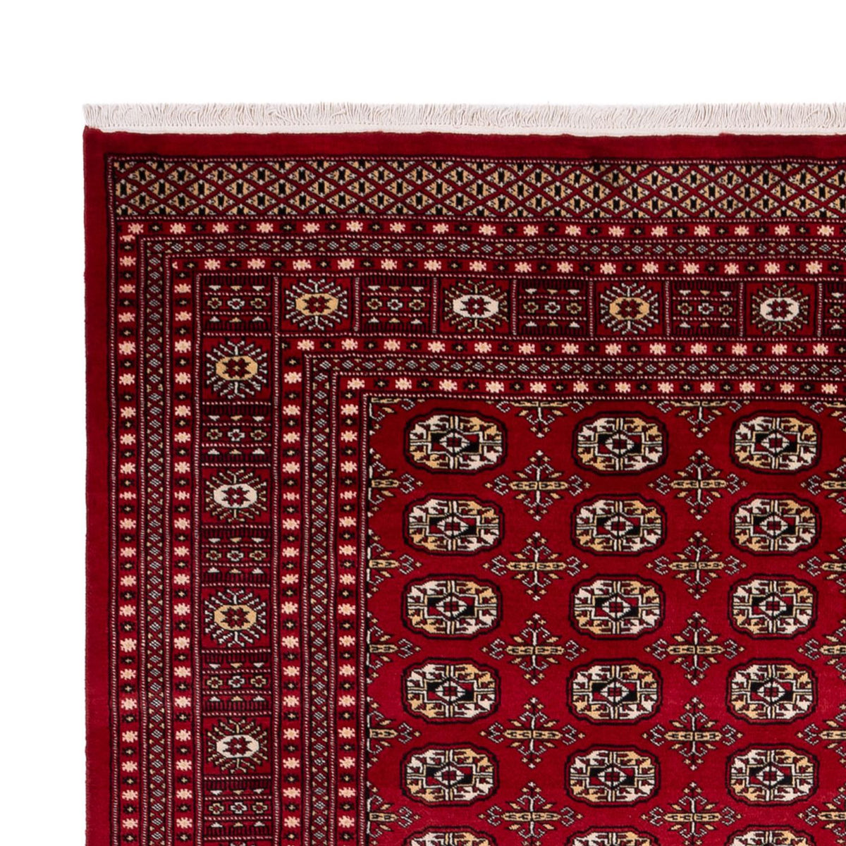 Bukhara Koberec 241x346cm - Orientální koberec