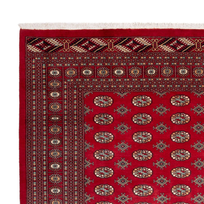 Bukhara Koberec 275x354cm - Orientální koberec