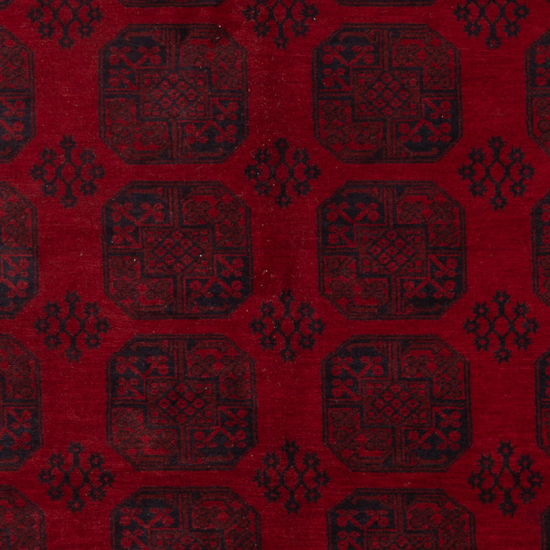 Akhche Koberec 338x258cm - Orientální koberec