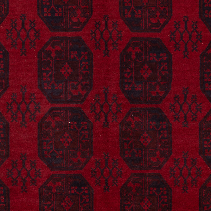 Akhche Koberec 300x250cm - Orientální koberec