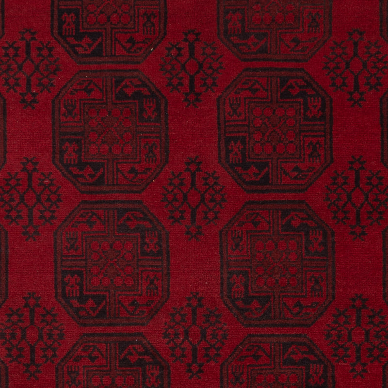 Akhche Koberec 301x249cm - Orientální koberec