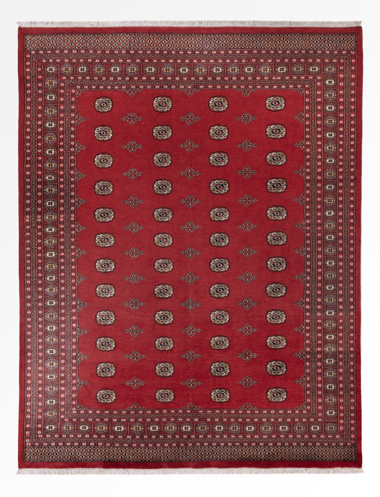 Pákistánský koberec 331x251cm - Orientální koberec