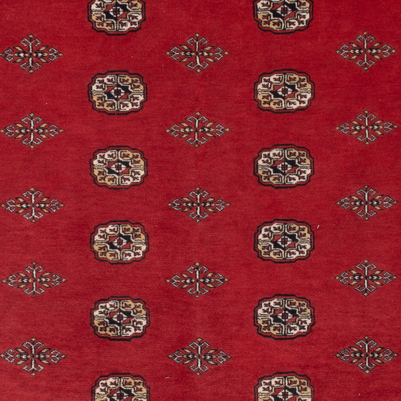 Pákistánský koberec 331x251cm - Orientální koberec