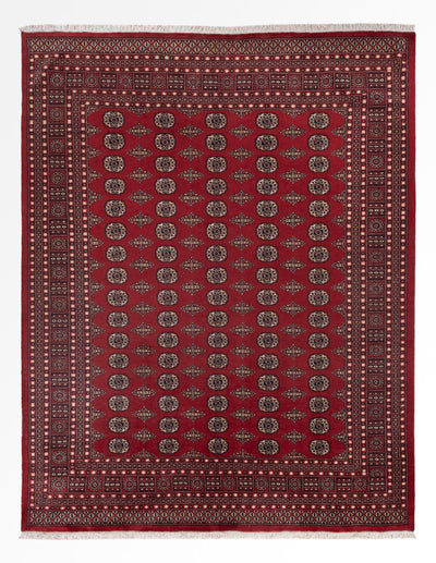 Pákistánský koberec 248x318cm - Orientální koberec