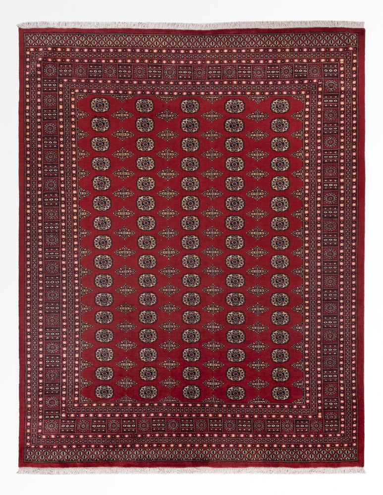 Pákistánský koberec 248x318cm - Orientální koberec