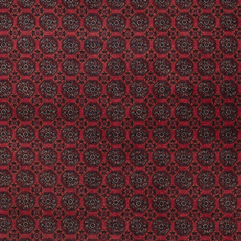 Afghánský koberec 297x198cm - Orientální koberec