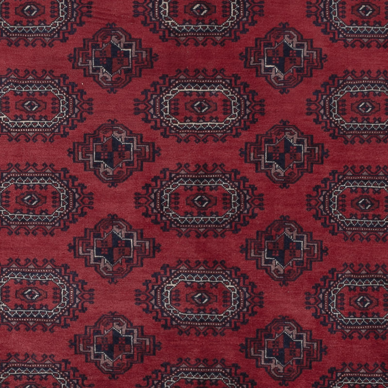 Afghánský koberec 296x200cm - Orientální koberec
