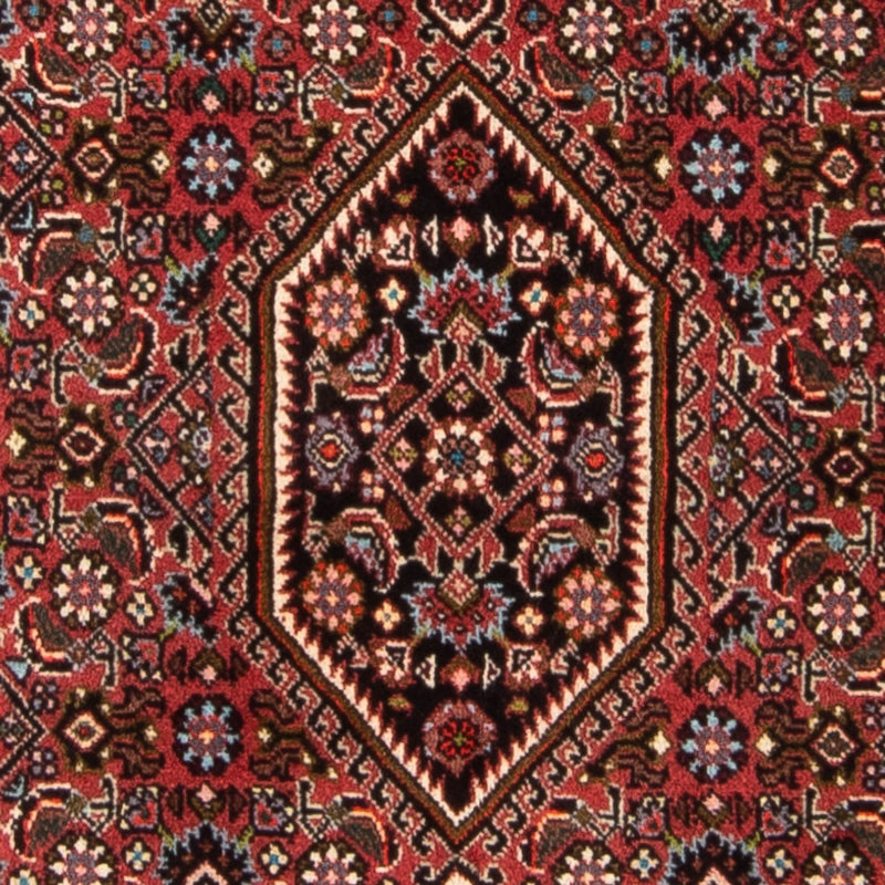 Bidjar - Takab Koberec 82x140cm - Perský koberec