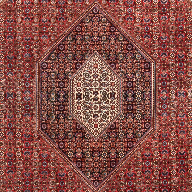 Bidjar - Takab Koberec 310x205cm - Perský koberec