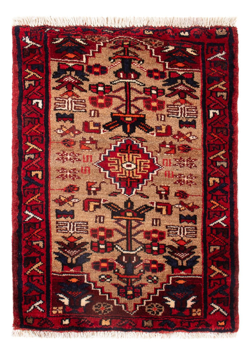 Malayer Koberec 50x66cm - Perský koberec