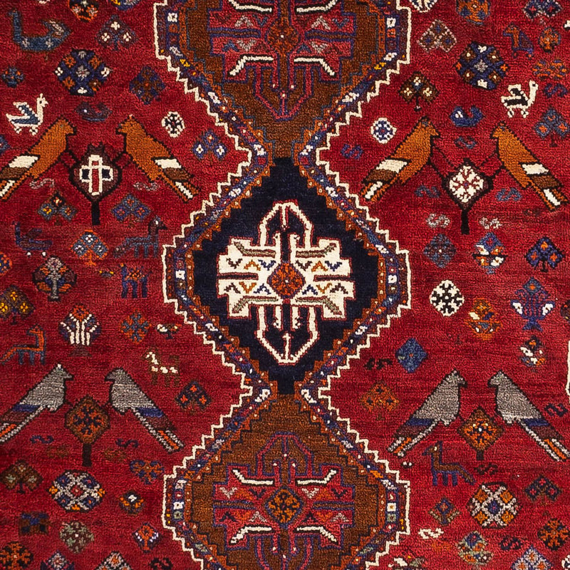 Qashqai Koberec 259x162cm - Perský koberec