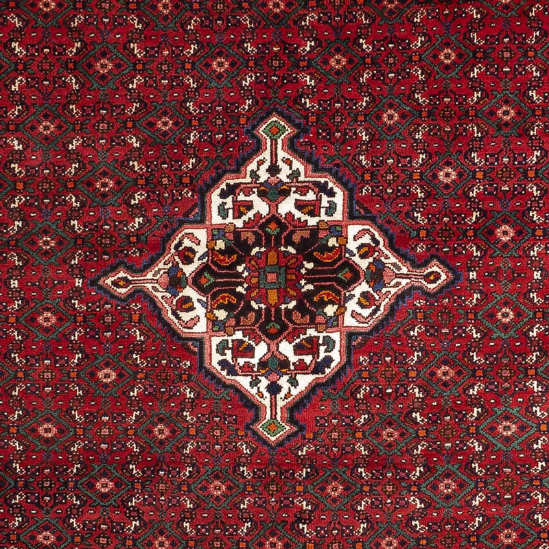 Malayer Koberec 318x210cm - Perský koberec