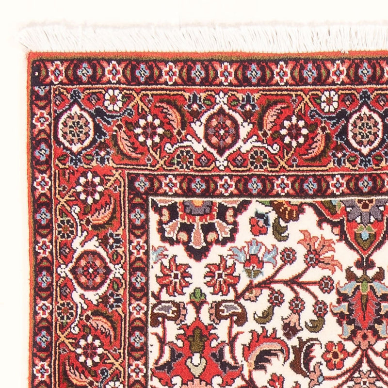 Bidjar - Bukan Koberec 84x142cm - Perský koberec - béžová