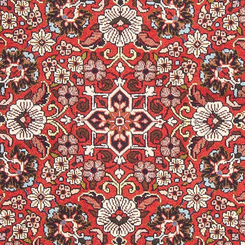 Bidjar - Bukan Koberec 82x143cm - Perský koberec - červená