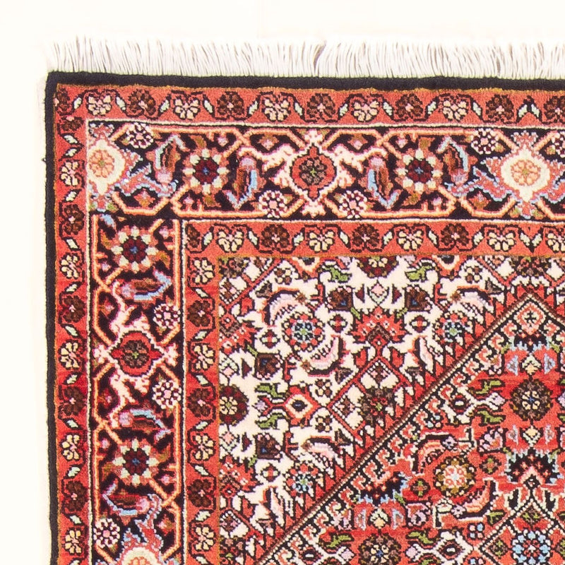 Bidjar - Bukan Koberec 82x142cm - Perský koberec - červená