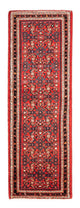 Kolyai Koberec 68x192cm - Perský koberec