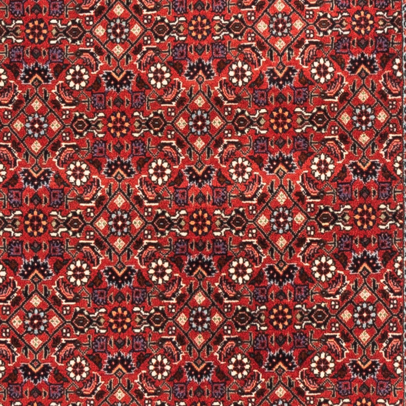 Bidjar Koberec 75x192cm - Perský koberec