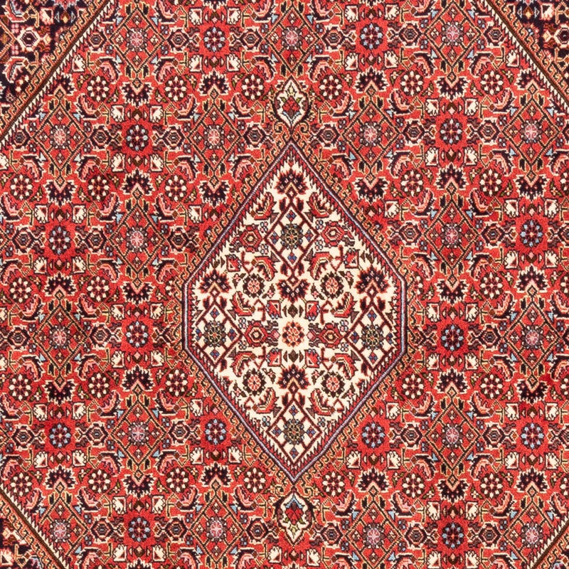 Bidjar - Bukan Koberec 171x232cm - Perský koberec