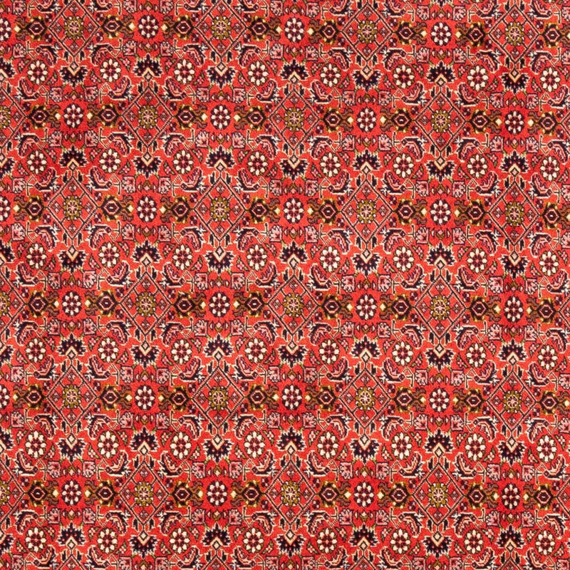 Bidjar - Bukan Koberec 242x168cm - Perský koberec
