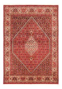 Bidjar - Bukan Koberec 234x176cm - Perský koberec – product image