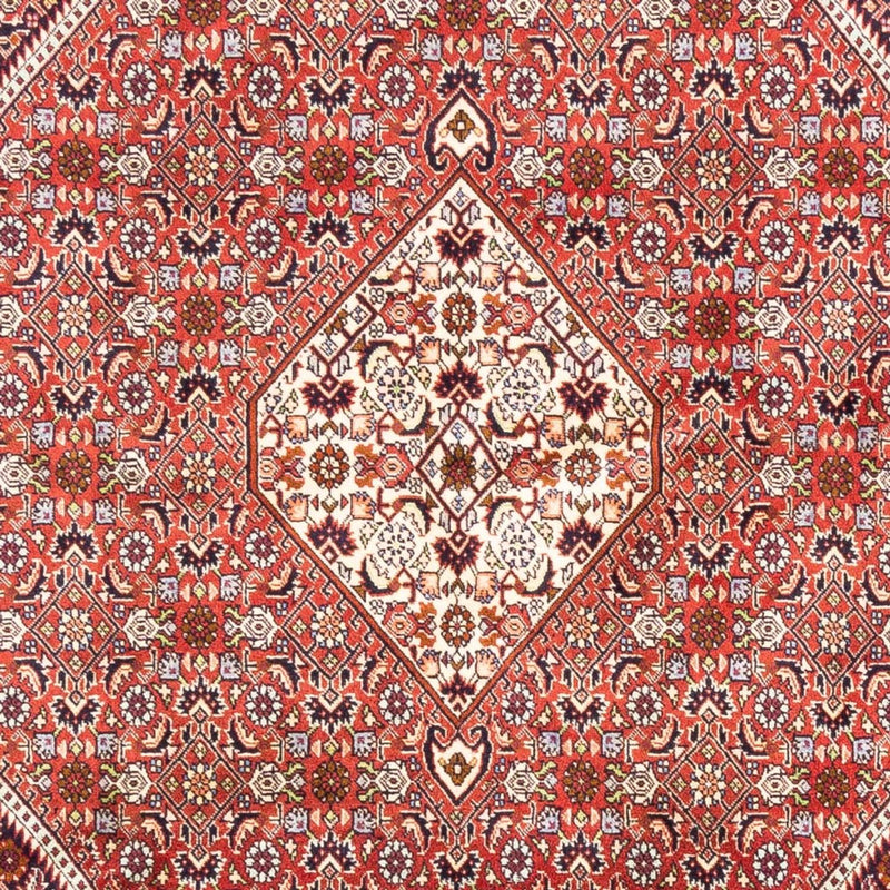 Bidjar - Bukan Koberec 240x168cm - Perský koberec