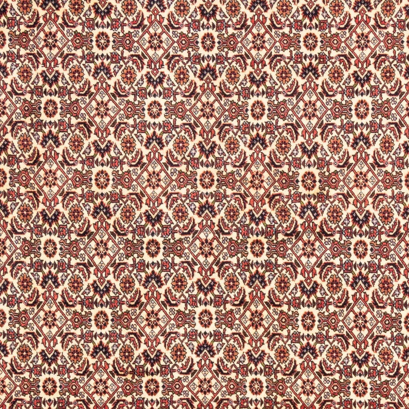 Bidjar - Bukan Koberec 244x166cm - Perský koberec