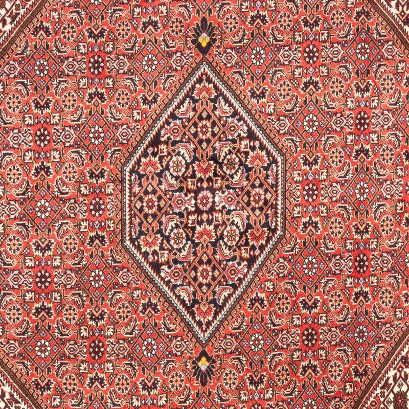 Bidjar - Bukan Koberec 247x173cm - Perský koberec